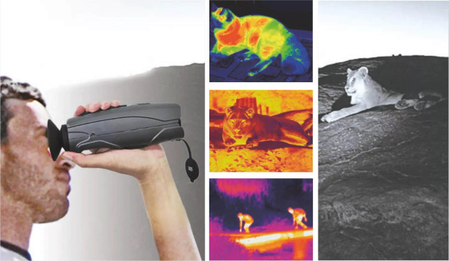 Тепловизионный монокуляр CEM T-72 в Ижевске Тепловизионный монокуляр CEM T-72 в Ижевске