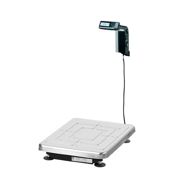 Весы ТВ-S-200.2-RL1 в Ижевске