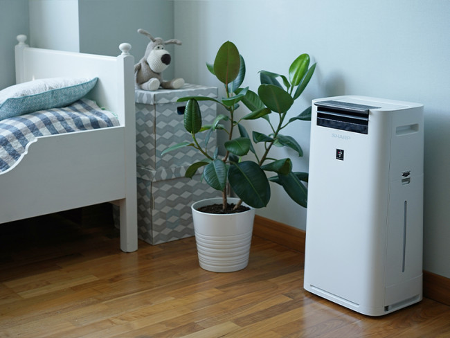 Климатический комплекс KCG41RW в Ижевске Климатический комплекс KCG41RW в Ижевске