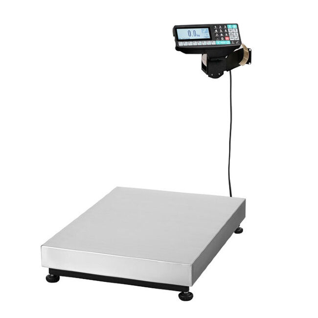 Весы ТВ-М-600.2-RP1 в Ижевске