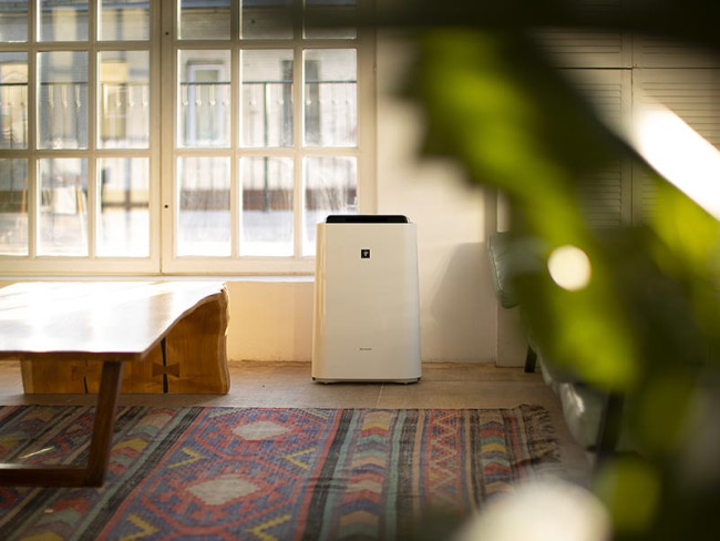 Климатический комплекс KC-D61RW в Ижевске Климатический комплекс KC-D61RW в Ижевске