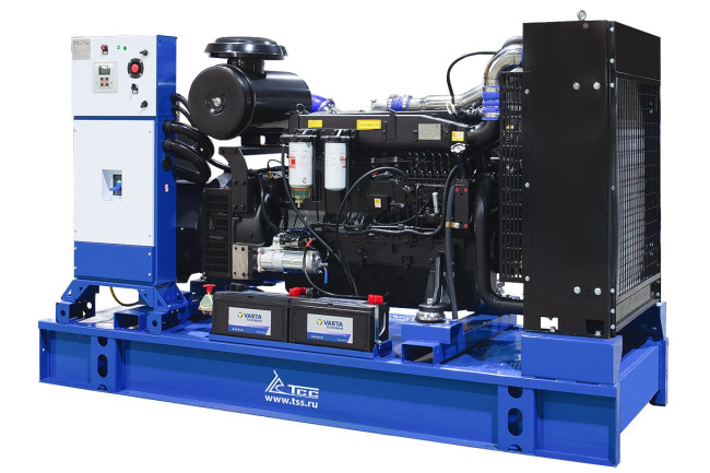 Дизельный генератор ТСС АД-200С-Т400-2РМ5 ПРОФ в Ижевске