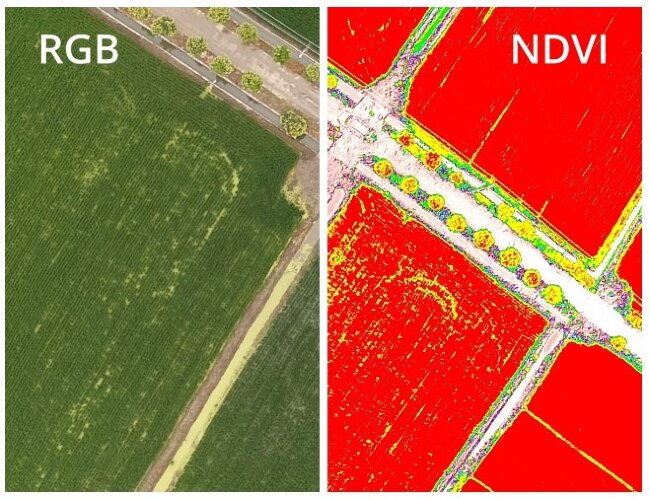 Квадрокоптер DJI Phantom 4 Multispectral + Мобильная станция D-RTK 2 High Precision GNSS в Ижевске Квадрокоптер DJI Phantom 4 Multispectral + Мобильная станция D-RTK 2 High Precision GNSS в Ижевске