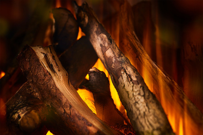 New Forest 1600 with Deluxe Real logs в Ижевске New Forest 1600 with Deluxe Real logs в Ижевске