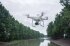 Сельскохозяйственный квадрокоптер DJI Phantom 4 мультиспектральный в Ижевске