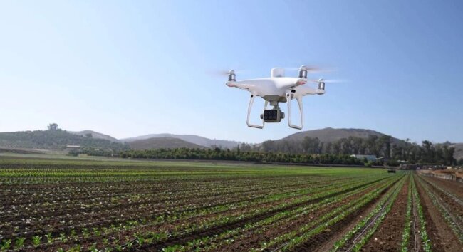 Сельскохозяйственный квадрокоптер DJI Phantom 4 мультиспектральный в Ижевске Сельскохозяйственный квадрокоптер DJI Phantom 4 мультиспектральный в Ижевске