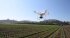 Сельскохозяйственный квадрокоптер DJI Phantom 4 мультиспектральный в Ижевске
