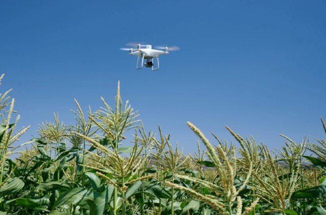 Сельскохозяйственный квадрокоптер DJI Phantom 4 мультиспектральный в Ижевске Сельскохозяйственный квадрокоптер DJI Phantom 4 мультиспектральный в Ижевске