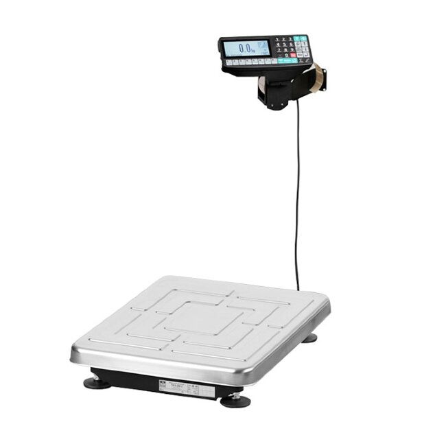 Весы ТВ-S-60.2-RP1 в Ижевске