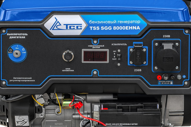 Бензогенератор TSS SGG 8000EHNA в Ижевске