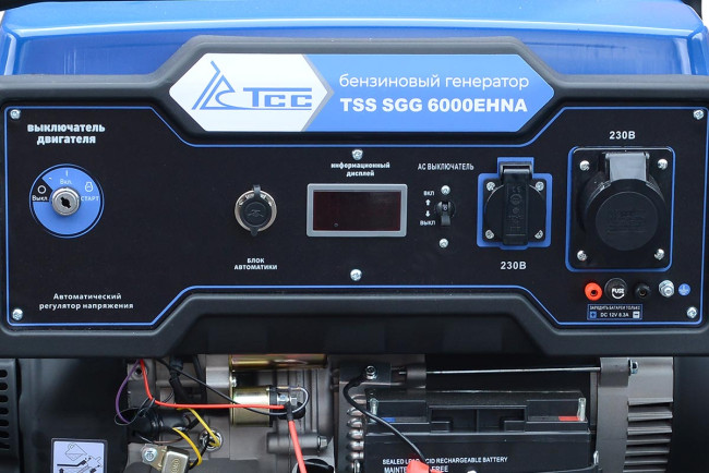 Бензогенератор 6 кВт TSS SGG 6000EHNA в кожухе МК-1.1 в Ижевске Бензогенератор 6 кВт TSS SGG 6000EHNA в кожухе МК-1.1 в Ижевске