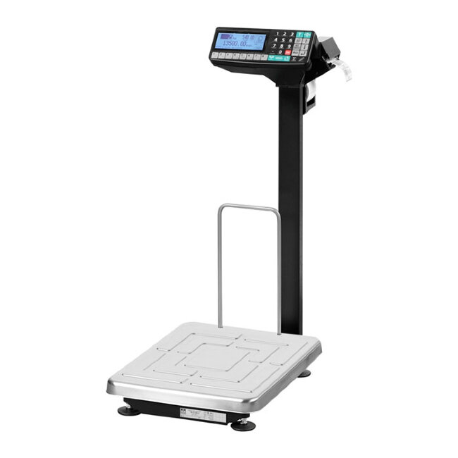 Весы ТВ-S-200.2-RP3 в Ижевске
