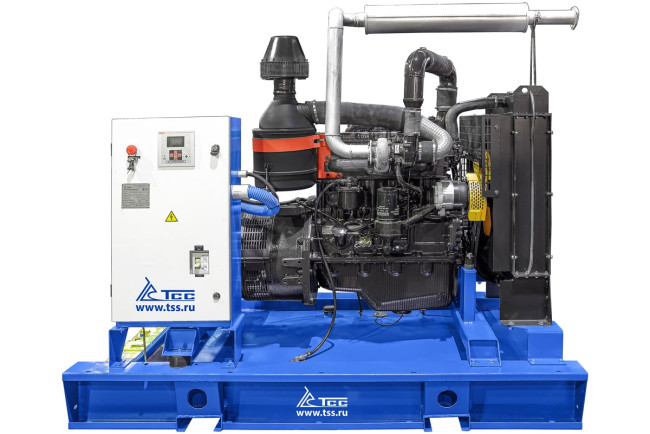 Дизельный генератор ТСС АД-60С-Т400-1РМ1 в Ижевске