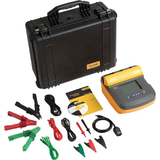 Мегаомметр Fluke 1555/KIT в Ижевске