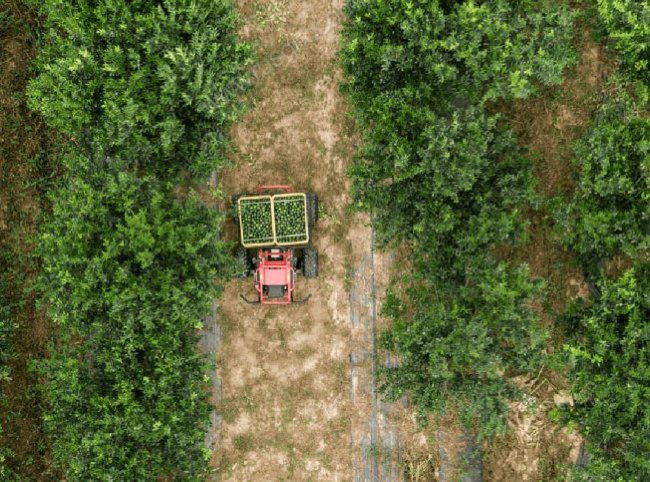 Наземный дрон XAG R150 2020 XAUV Spray Model в Ижевске Наземный дрон XAG R150 2020 XAUV Spray Model в Ижевске