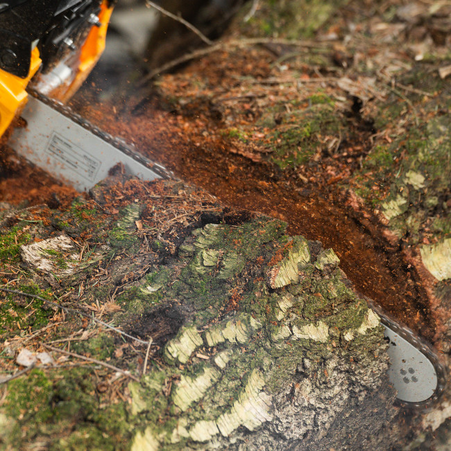 Пила цепная бензиновая DGS-4516, шина 40 см, 45 см3, 3 л.с, шаг 3/8, паз 1.3 мм, 57 звеньев Denzel в Ижевске