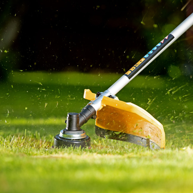 Триммер бензиновый DTL-43S, 43 см3, разъемная штанга, состоит из 2 частей Denzel в Ижевске Триммер бензиновый DTL-43S, 43 см3, разъемная штанга, состоит из 2 частей Denzel в Ижевске